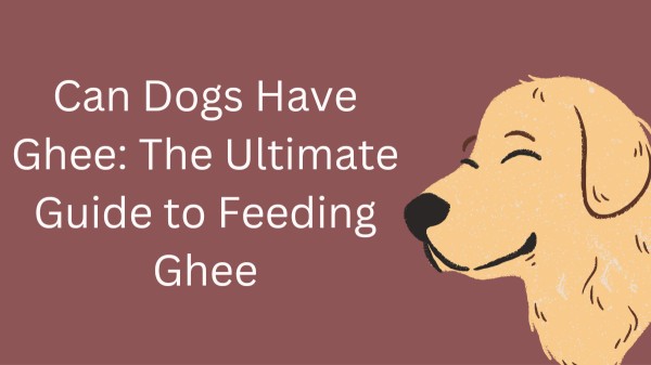 can-bogs-have-ghee