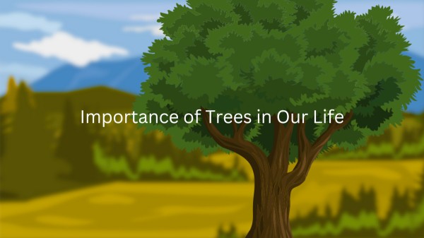 Importance of Trees in Our Life,