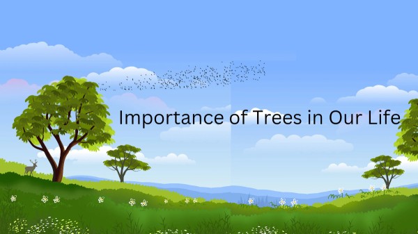 Importance-of-Trees in-Our-Life